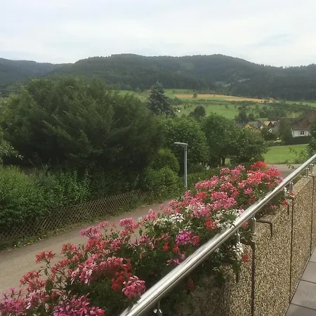 בית הארחה Haus Gerlinde צל אם האמרשבאך